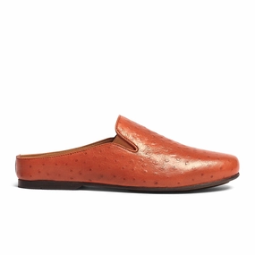 Achilles Ostrich Mule Fashion Trend