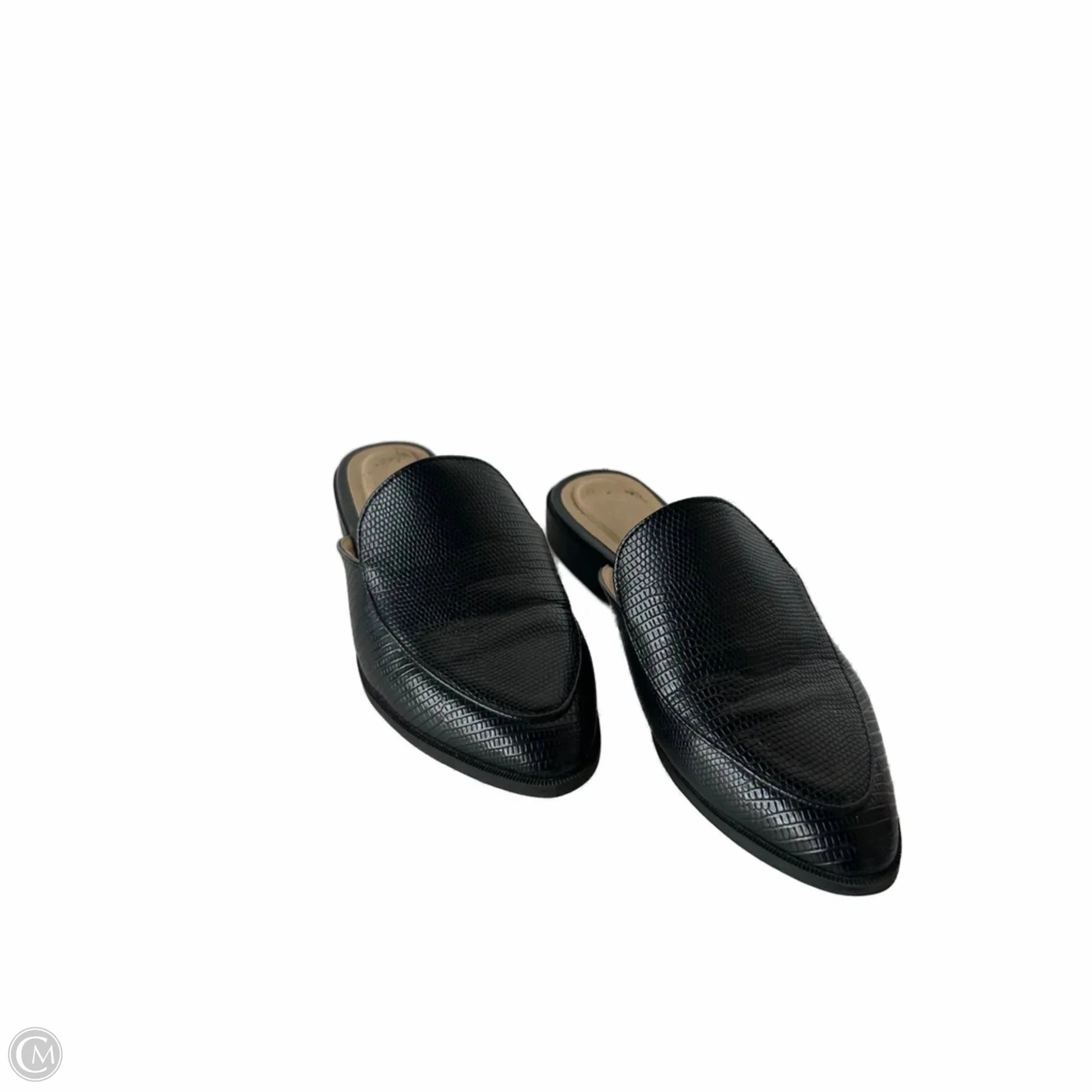 Shoes Heels Block By Chinese Laundry In Black, Size: 7 Chic Heels Ultra Soft