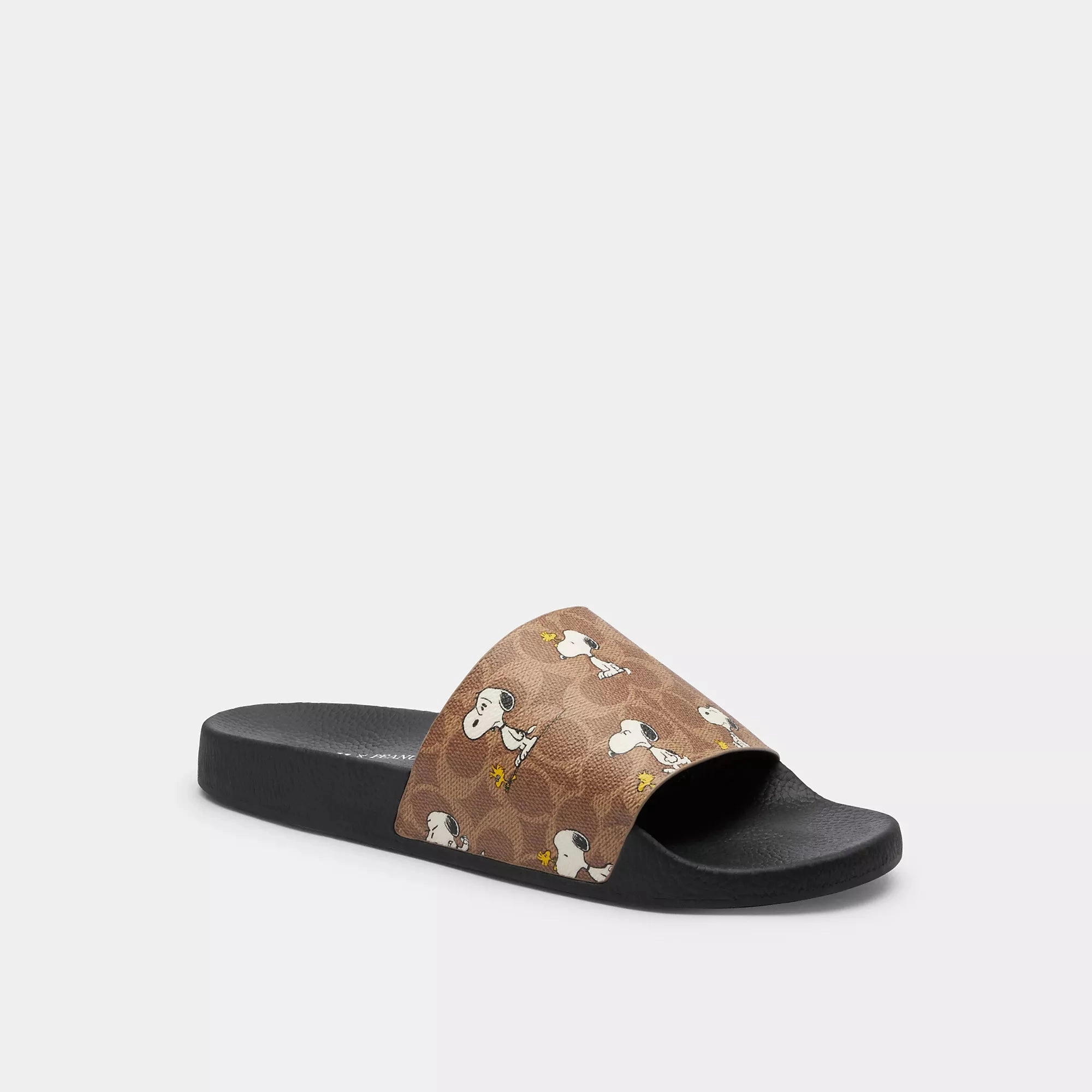 Art Tour College Graduate Coach Outlet Coach X Peanuts Pool Slide In Signature Canvas With Snoopy Print