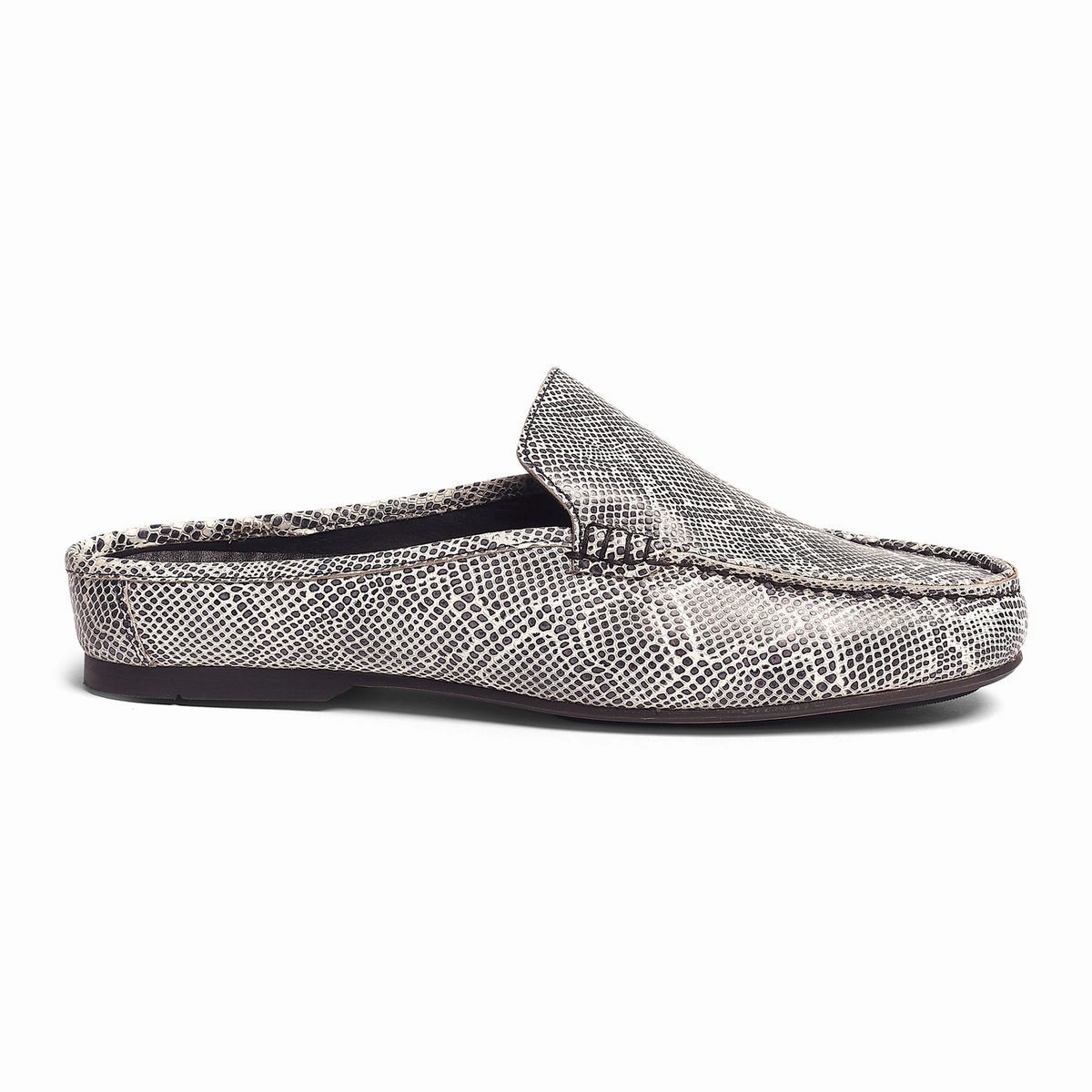 Hector Python Mule Core Design Cool Accent
