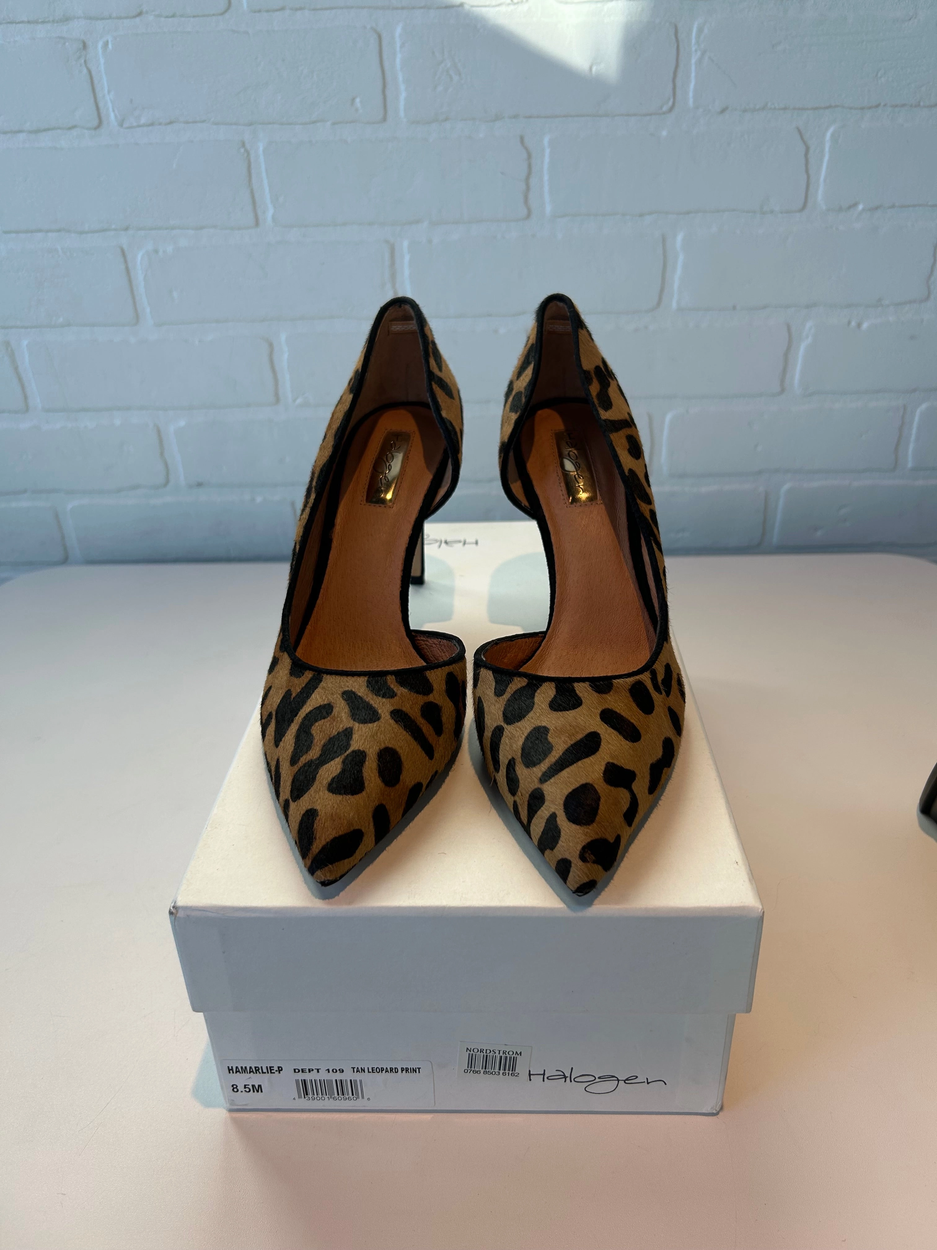 Shoes Heels Stiletto By Halogen In Animal Print, Size: 8.5 Low Top Flexibility