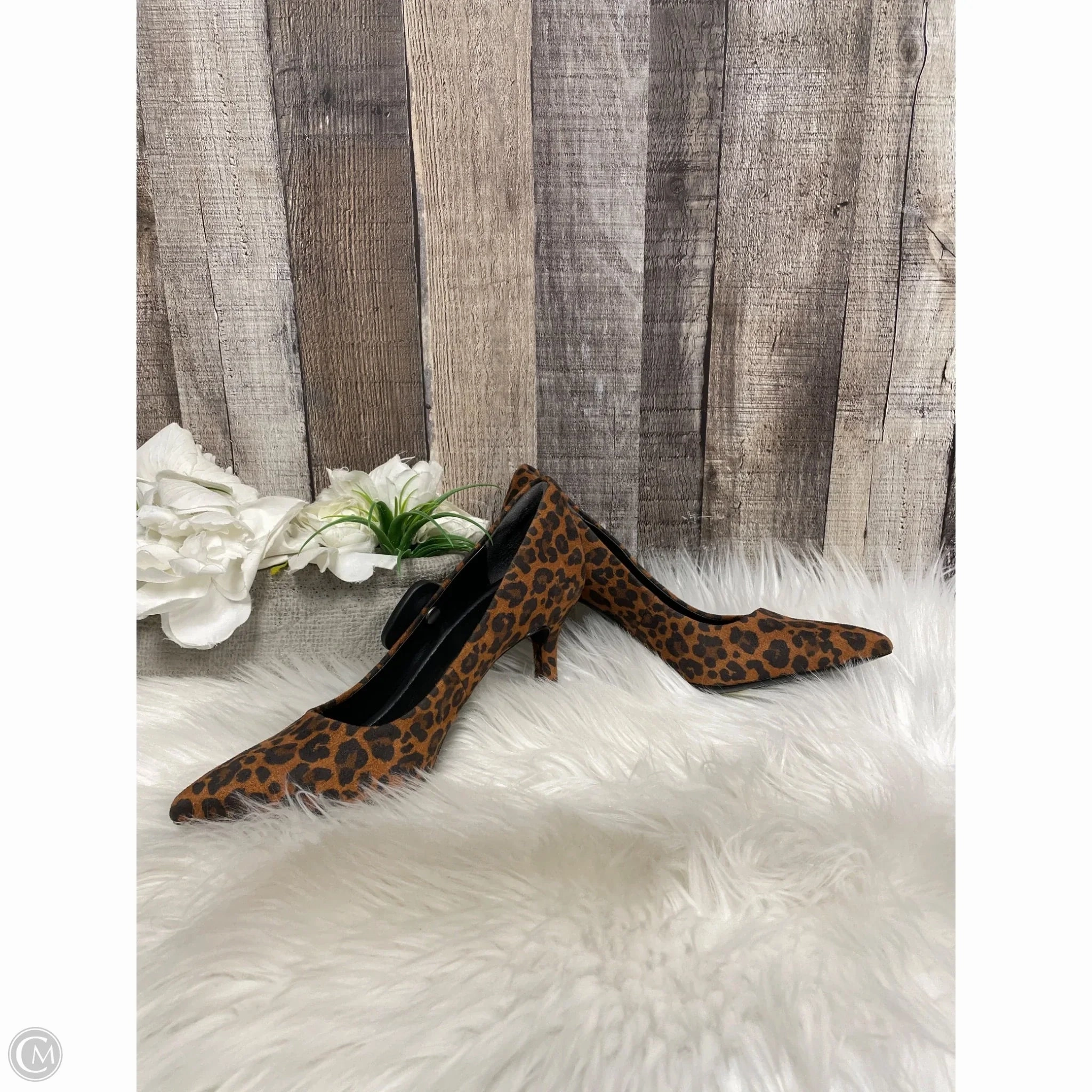 Premium Pumps Shoes Heels Stiletto By Nordstrom In Animal Print, Size: 7