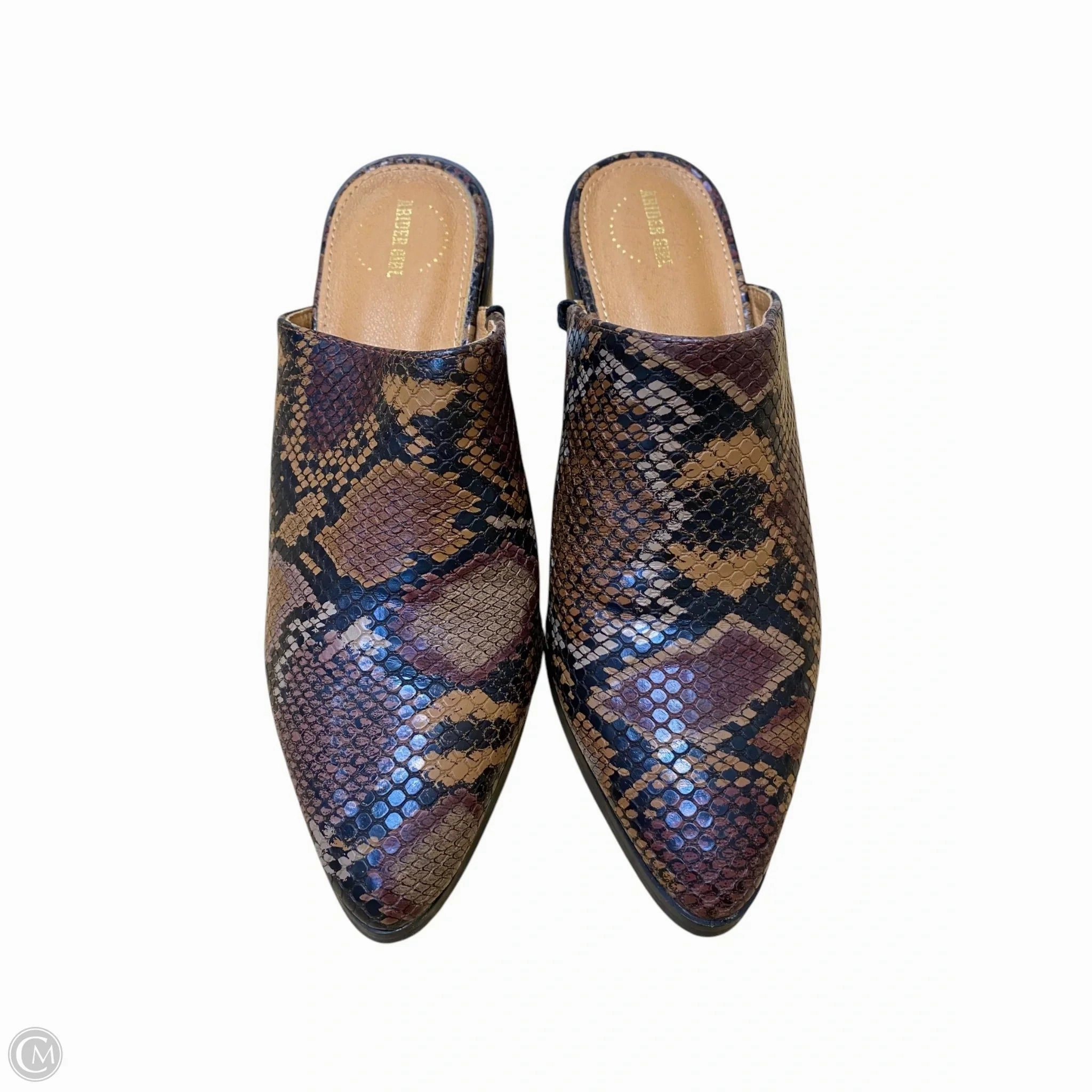 Shoes Heels Block By Clothes Mentor In Snakeskin Print, Size: 5.5 Footwear Style