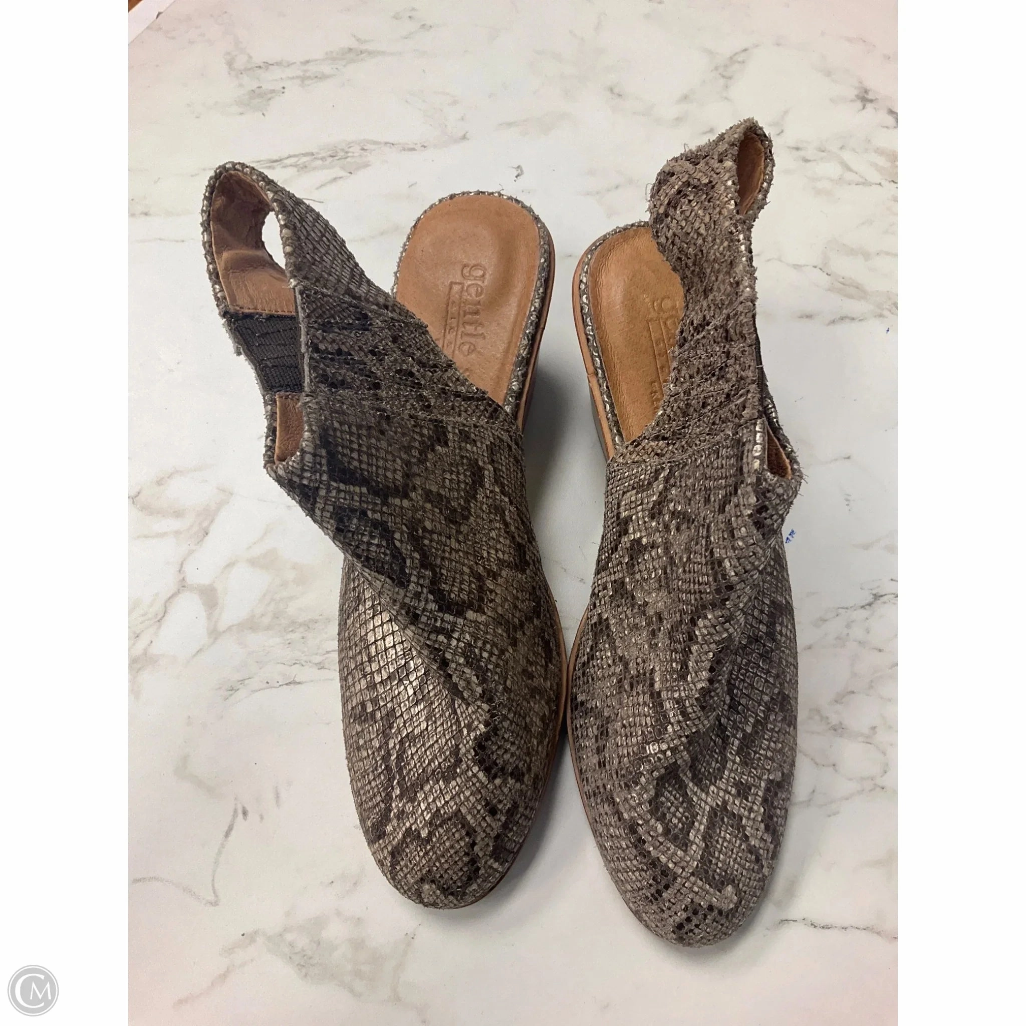 Shoes Heels Block By Gentle Souls In Snakeskin Print, Size: 8 Comfort Technology Street Attitude