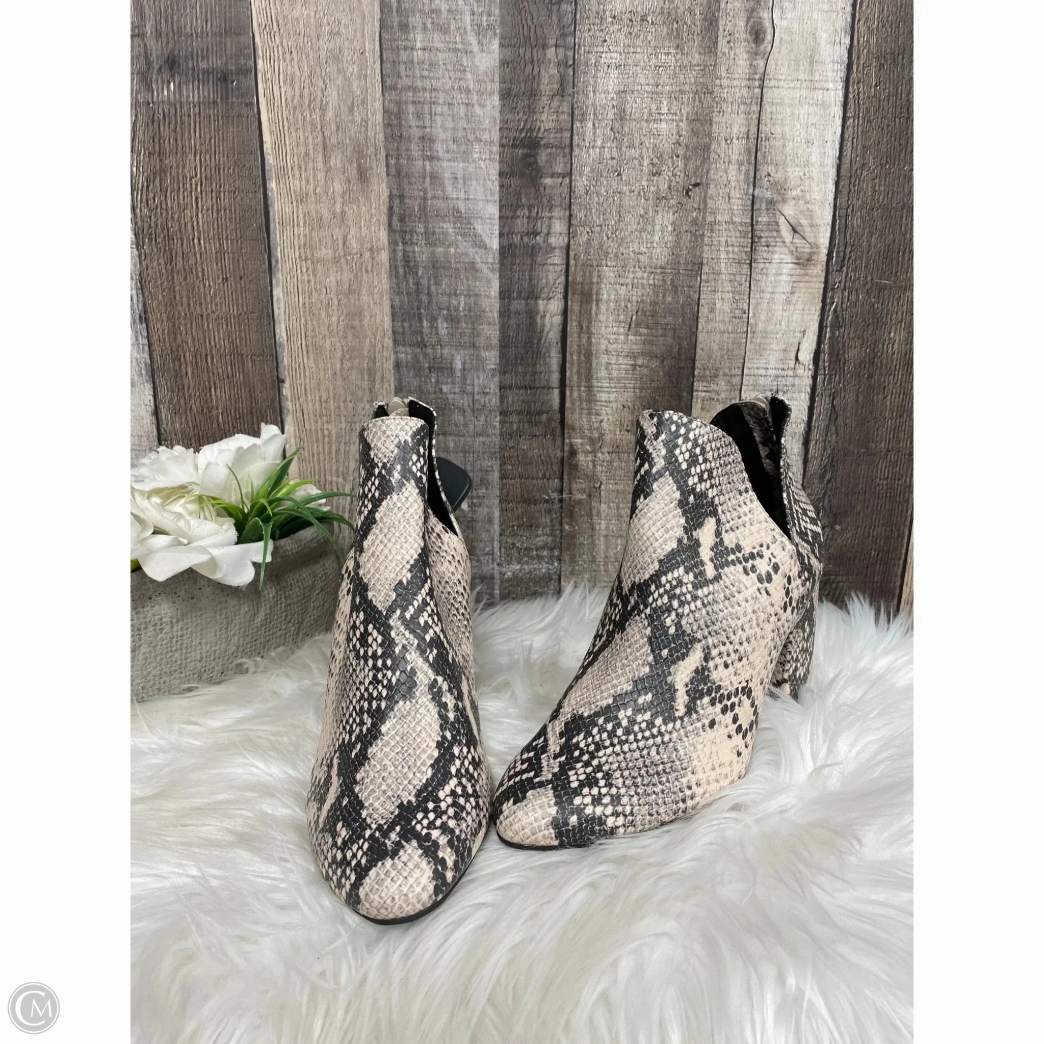 Shoes Heels Block By Massini In Animal Print, Size: 7 Sophisticated Pumps Memory foam insole