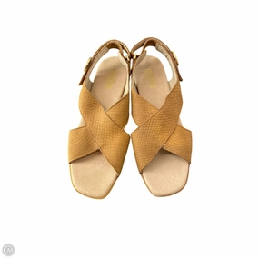 Shoes Heels Block By Munro In Brown, Size: 6.5 Comfortable Pumps Smart Casual