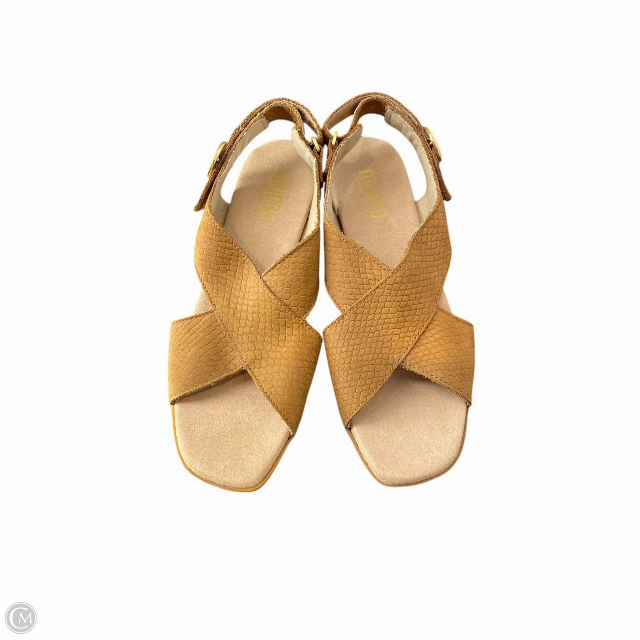 Shoes Heels Block By Munro In Brown, Size: 6.5 Comfortable Pumps Smart Casual